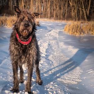 Meet your Posher, Melina